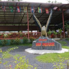 普吉岛百鸟园门票（大小同价）【Phuket Bird Park】