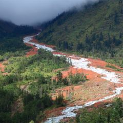 雅拉河谷，品酒美食之旅（成人）