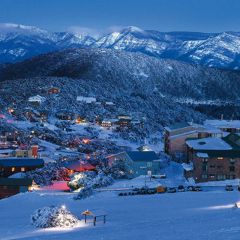 墨尔本布勒山(Mt. Buller)雪山观光一日游（儿童2-15）