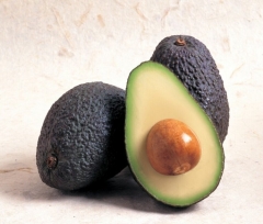 红色Avocado